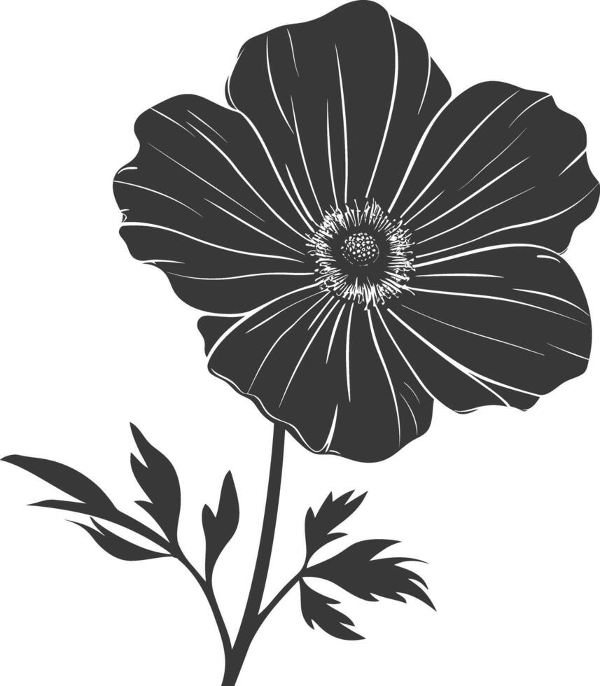 AI generated Silhouette cosmos flower black color only vector