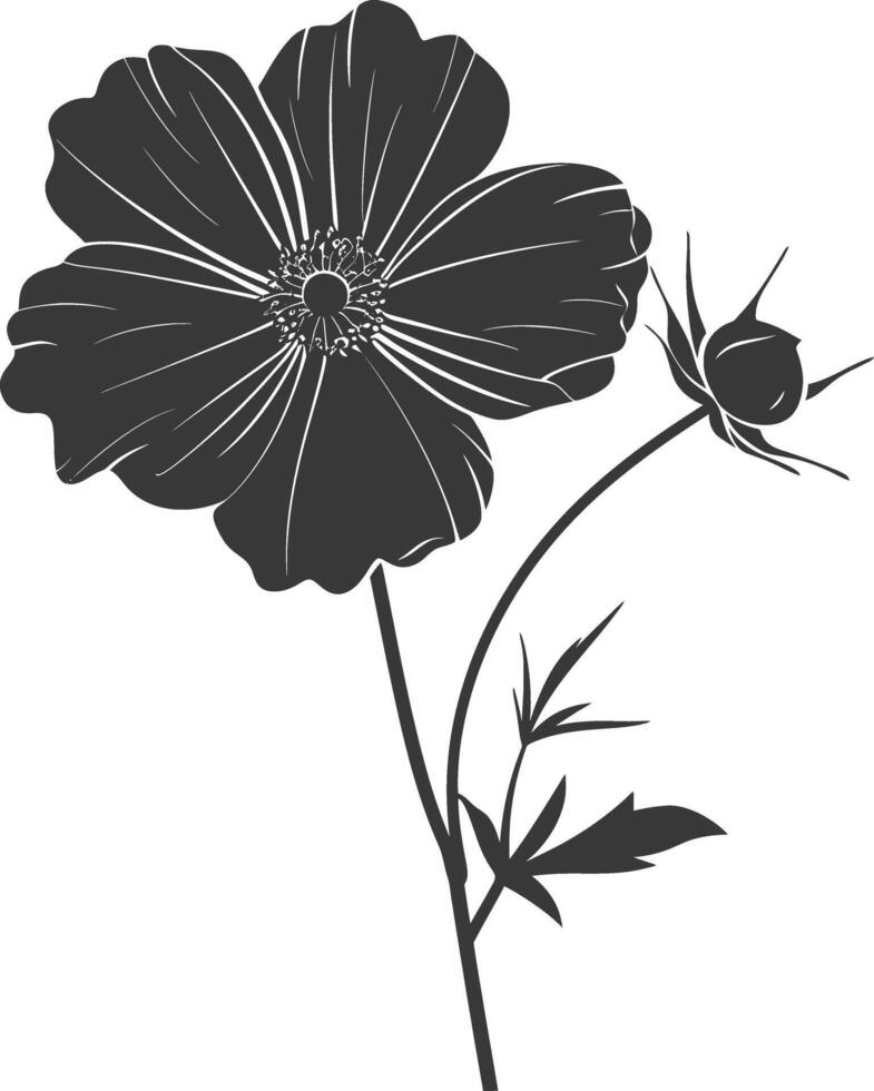 AI generated Silhouette cosmos flower black color only vector