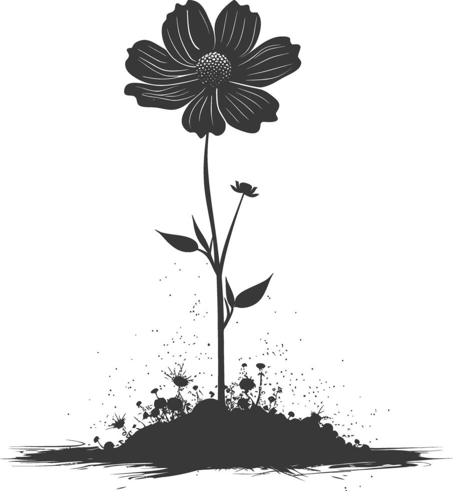 AI generated Silhouette cosmos flower in the ground black color only vector