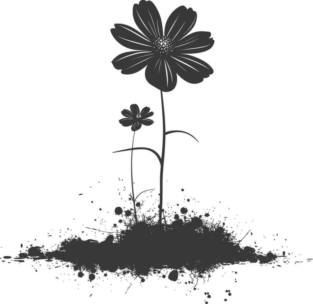 AI generated Silhouette cosmos flower in the ground black color only vector