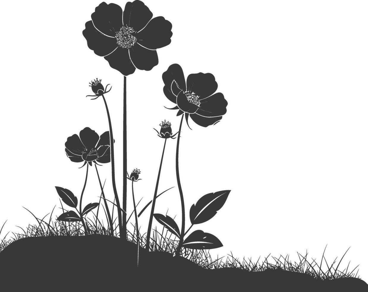 AI generated Silhouette cosmos flower in the ground black color only vector