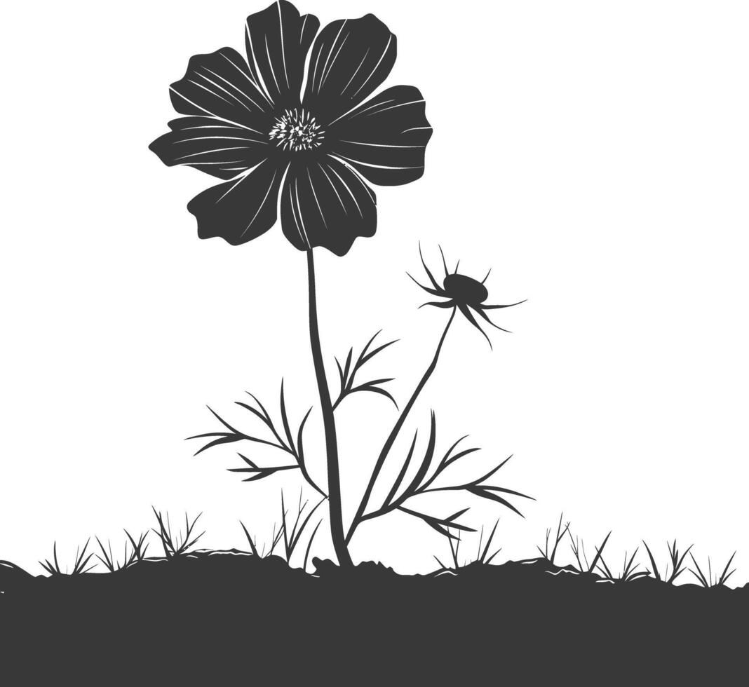 AI generated Silhouette cosmos flower in the ground black color only vector