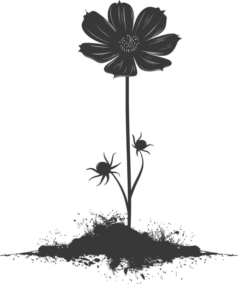 ai generado silueta cosmos flor en el suelo negro color solamente vector