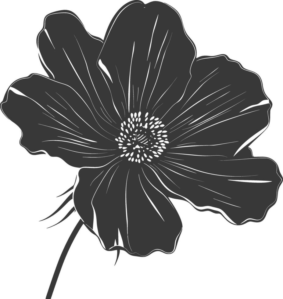 AI generated Silhouette cosmos flower black color only vector
