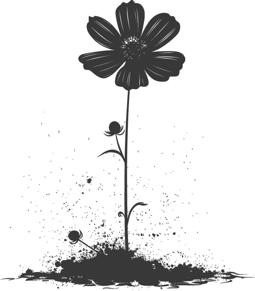 AI generated Silhouette cosmos flower in the ground black color only vector