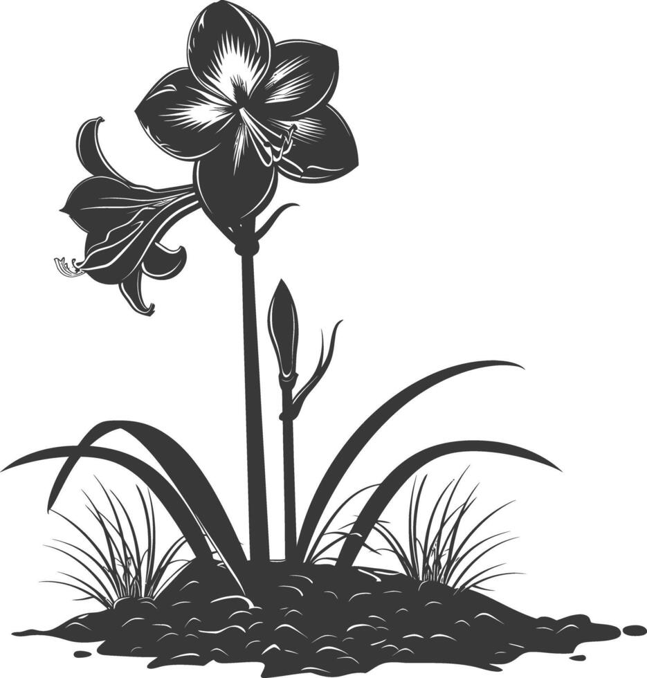 AI generated Silhouette amaryllis flower in the ground black color only vector