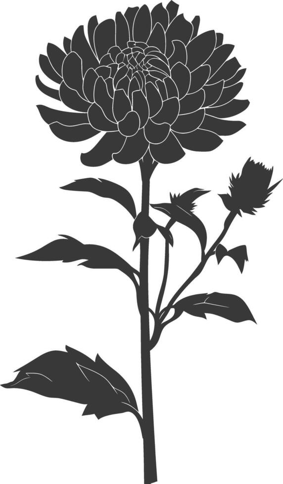 ai generado silueta aster flor negro color solamente vector