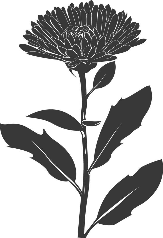 ai generado silueta aster flor negro color solamente vector