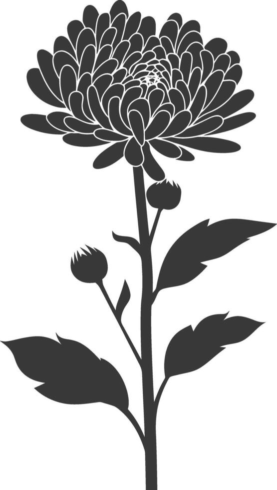 ai generado silueta aster flor negro color solamente vector