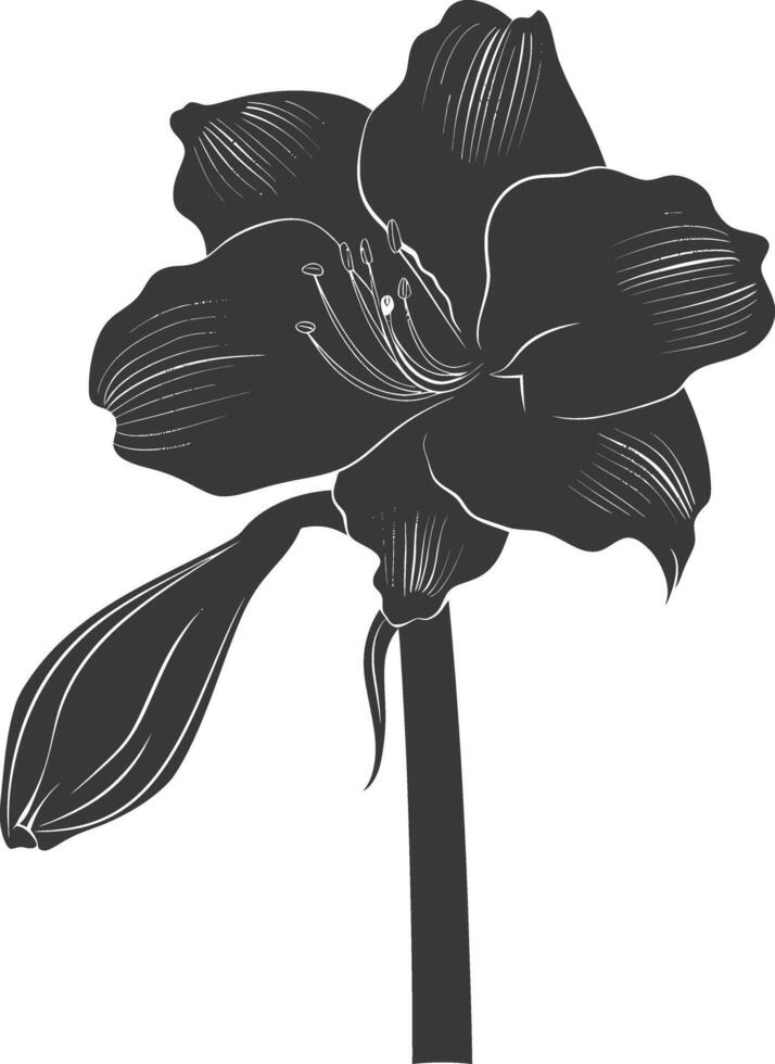AI generated Silhouette amaryllis flower black color only vector