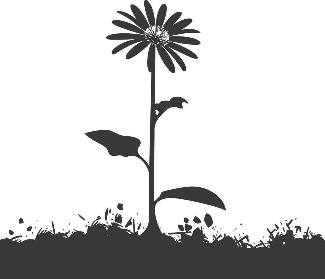 AI generated Silhouette aster flower in the ground black color only vector