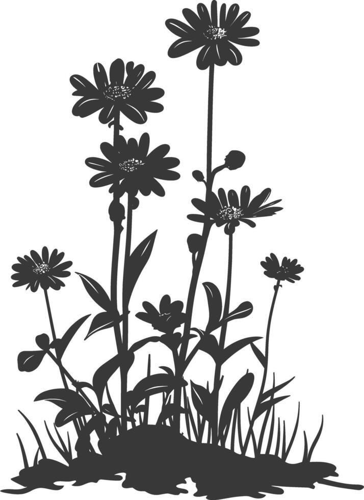 AI generated Silhouette aster flower in the ground black color only vector