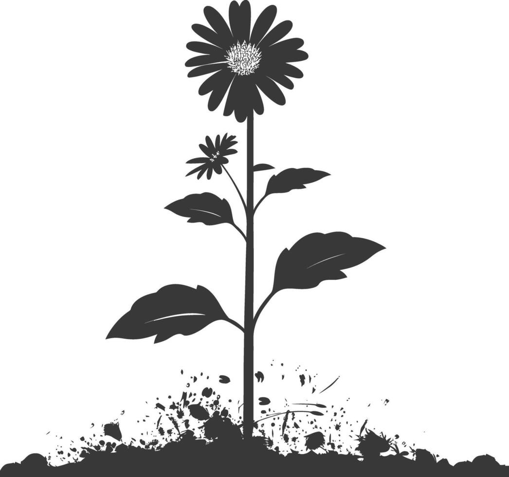 AI generated Silhouette aster flower in the ground black color only vector