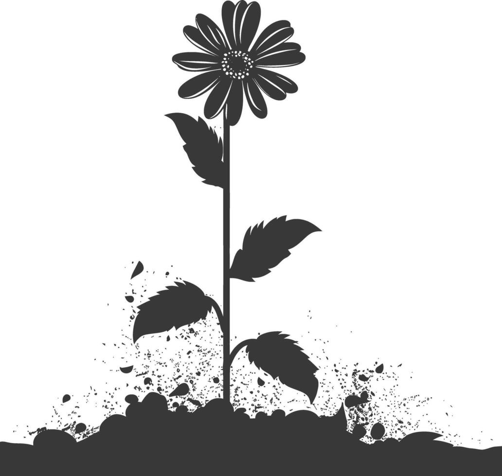 AI generated Silhouette aster flower in the ground black color only vector