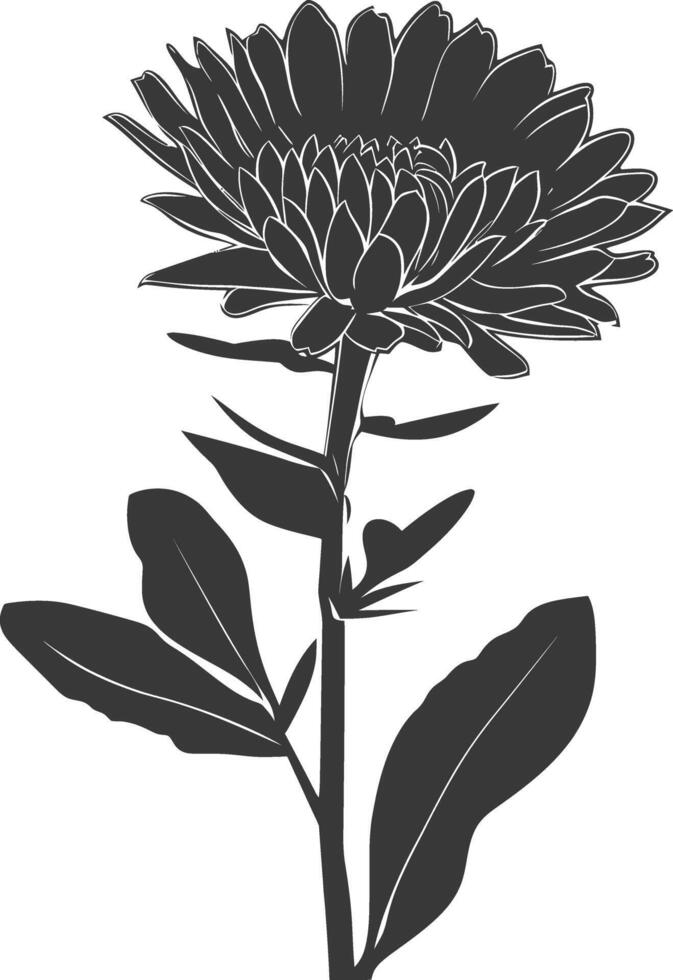 ai generado silueta aster flor negro color solamente vector