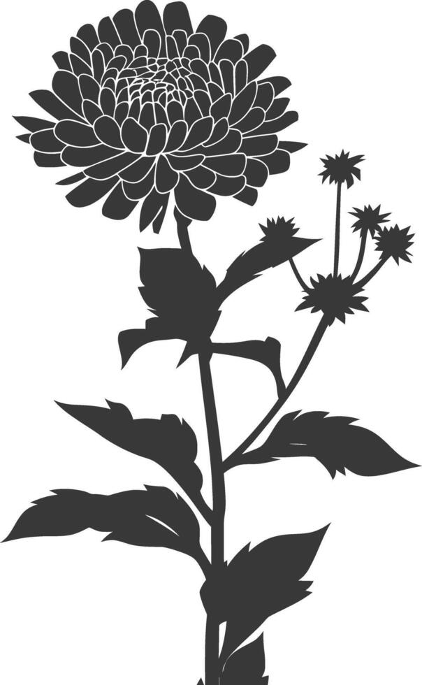 AI generated Silhouette aster flower black color only vector