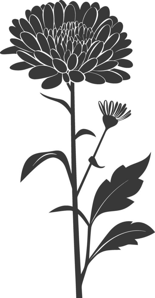 AI generated Silhouette aster flower black color only vector