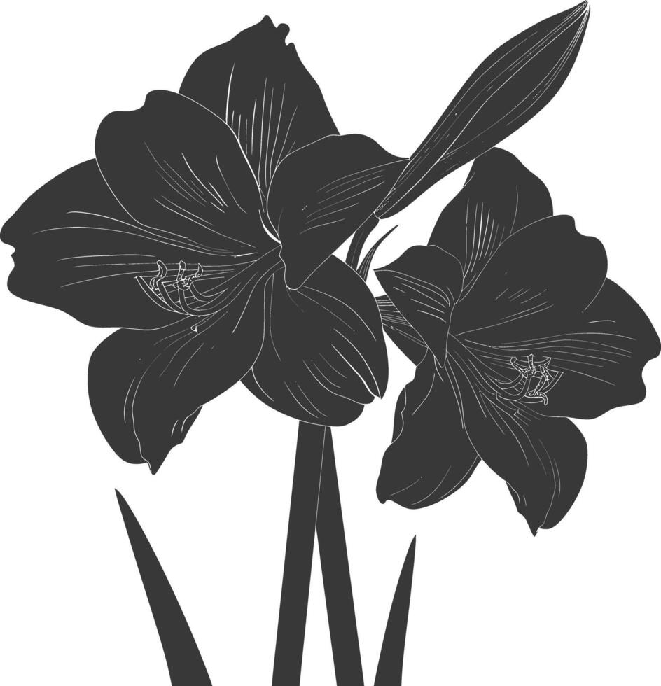 AI generated Silhouette amaryllis flower black color only vector