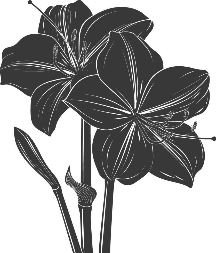 AI generated Silhouette amaryllis flower black color only vector