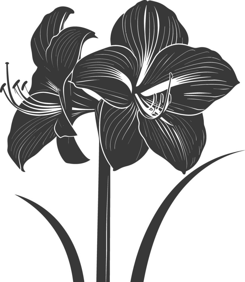 AI generated Silhouette amaryllis flower black color only vector