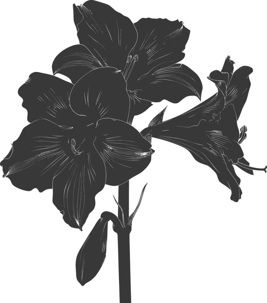 AI generated Silhouette amaryllis flower black color only vector