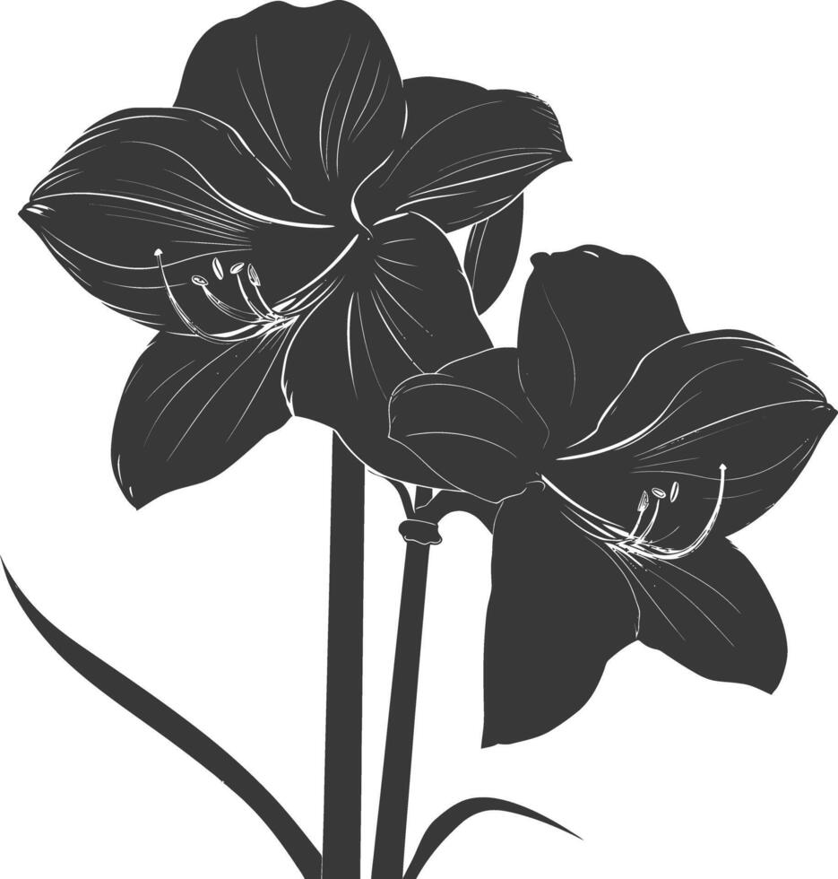 ai generado silueta amarilis flor negro color solamente vector