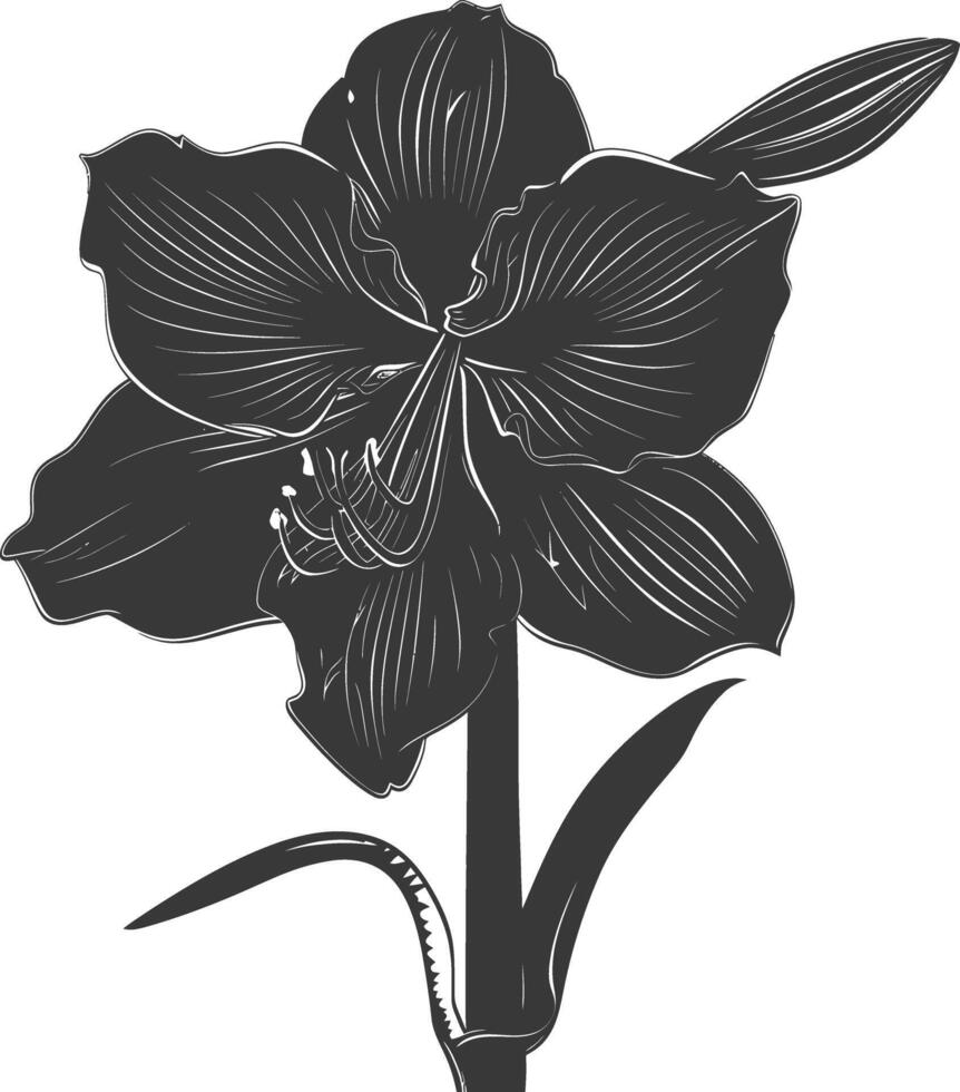 AI generated Silhouette amaryllis flower black color only vector