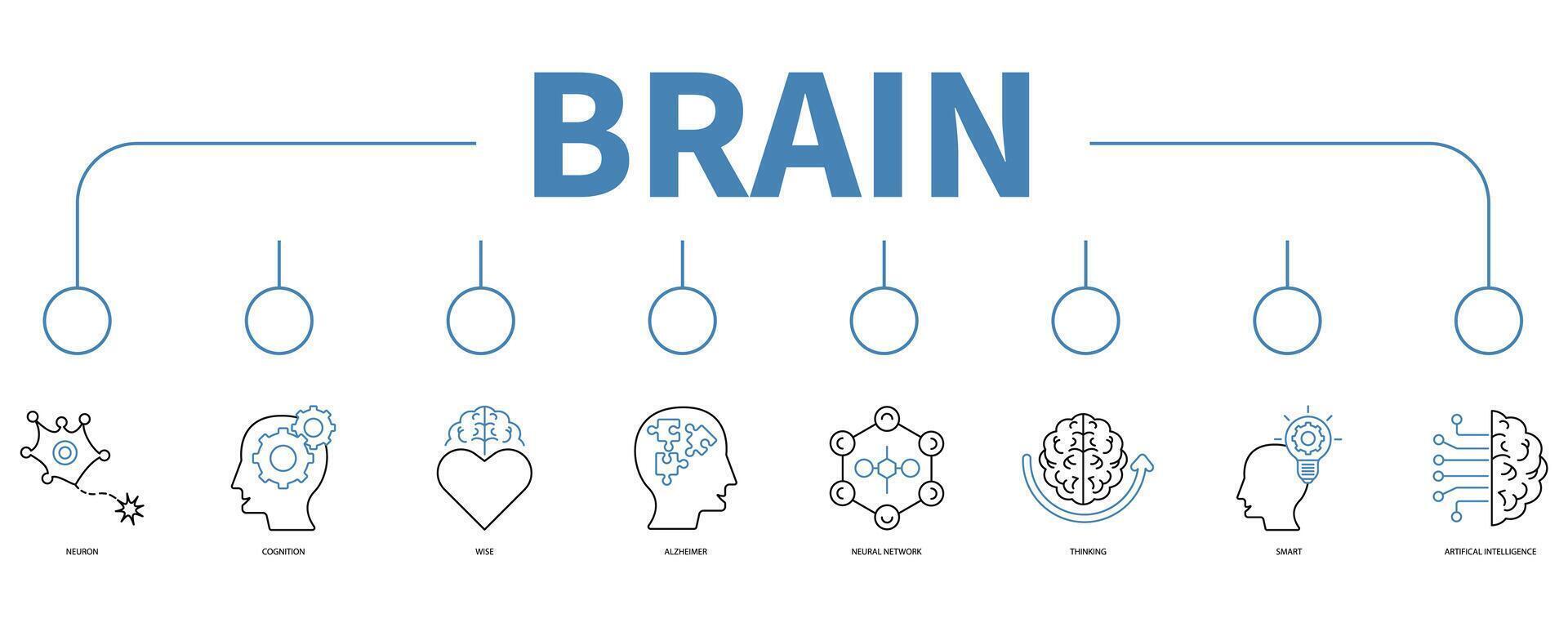 Brain banner web icon vector illustration concept