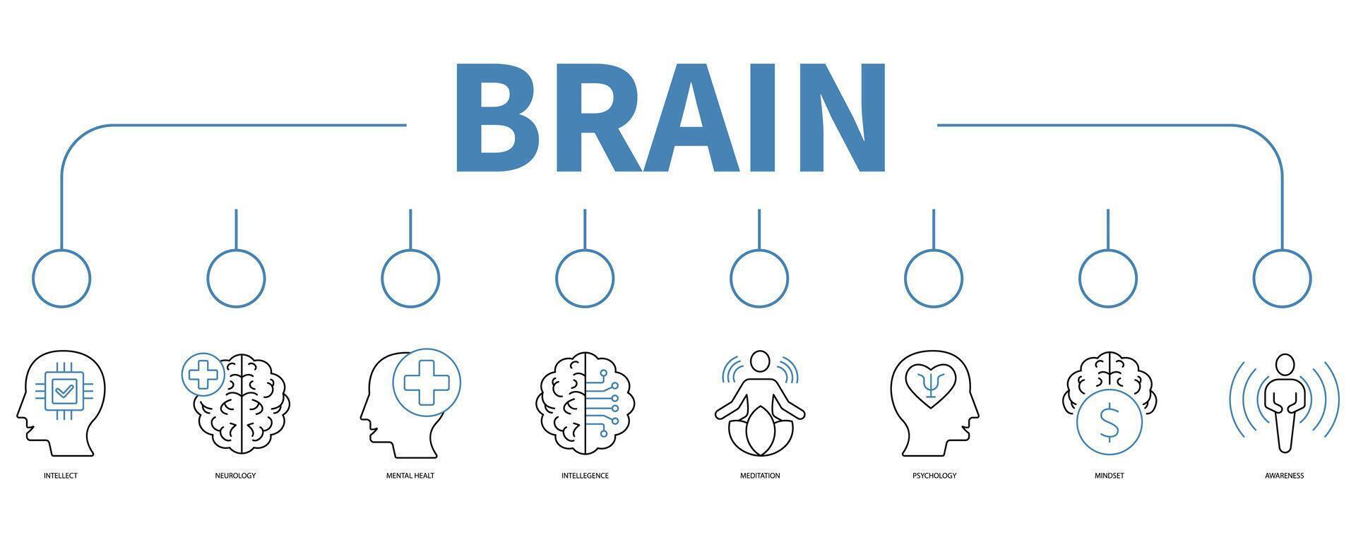 Brain banner web icon vector illustration concept