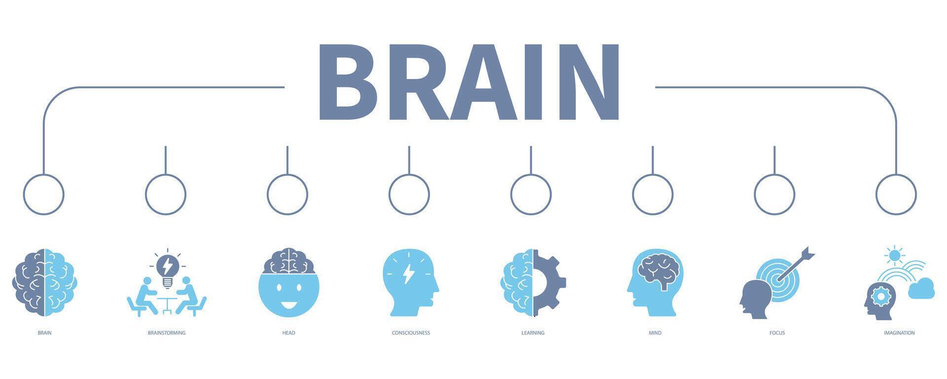 Brain banner web icon vector illustration concept