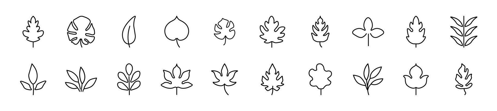 Collection of thin line icons of leaf. Editable stroke. Simple linear illustration for web sites, newspapers, articles book vector