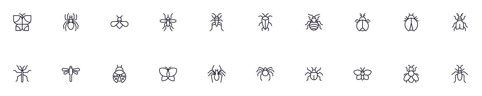Bugs vector symbols drawn with black thin line. Editable stroke. Simple linear illustration that can be used as a design element for apps and websites