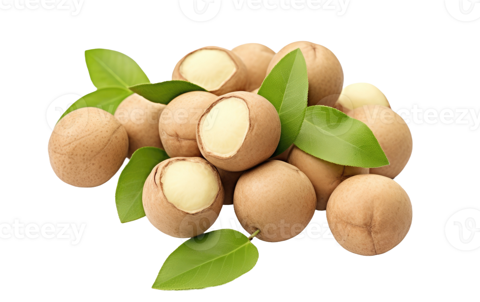 AI generated Gourmet Macadamia Delight On Transparent Background png