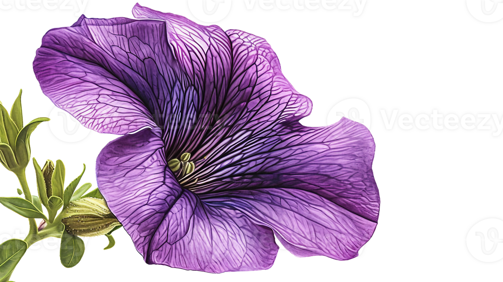 AI generated Purple Petunia on Transparent Background png