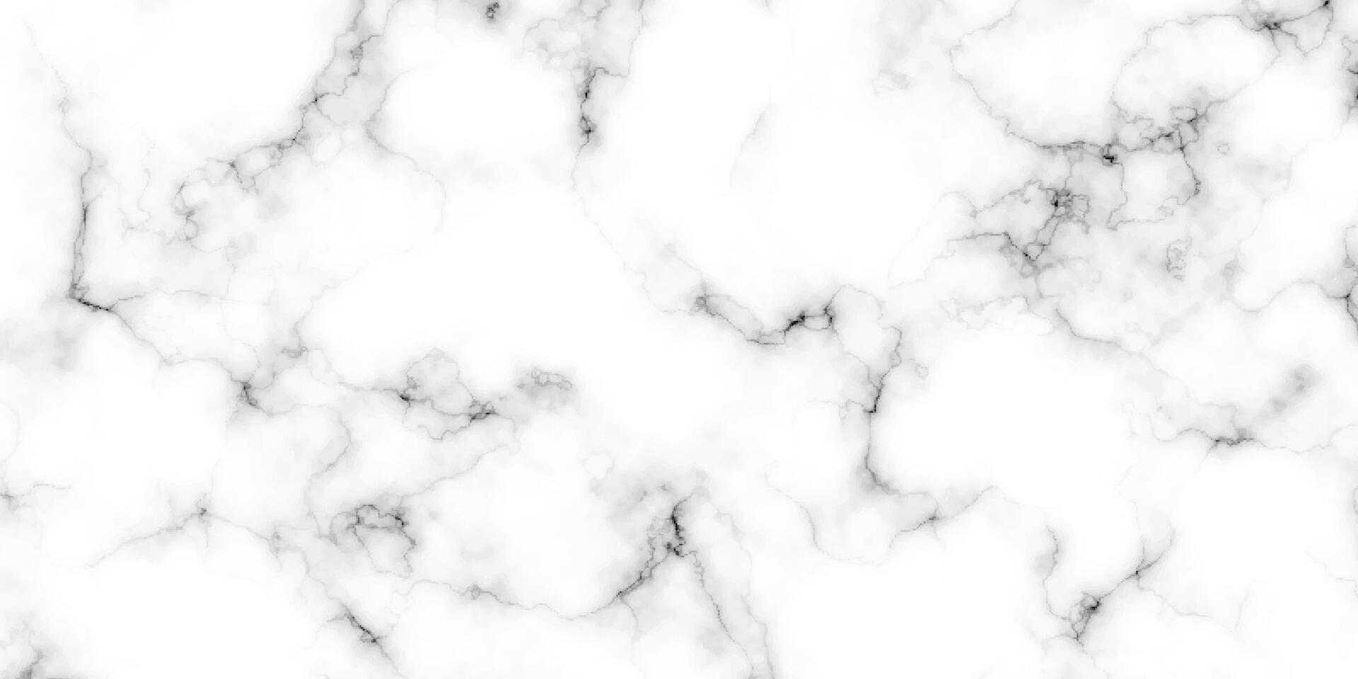 panoramic white marble stone texture. white marble texture background. high-resolution white Carrara marble stone texture vector