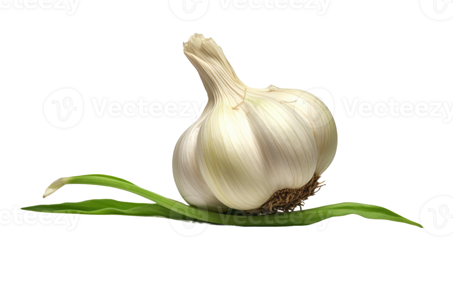 AI generated Crisp Garlic On Transparent Background png