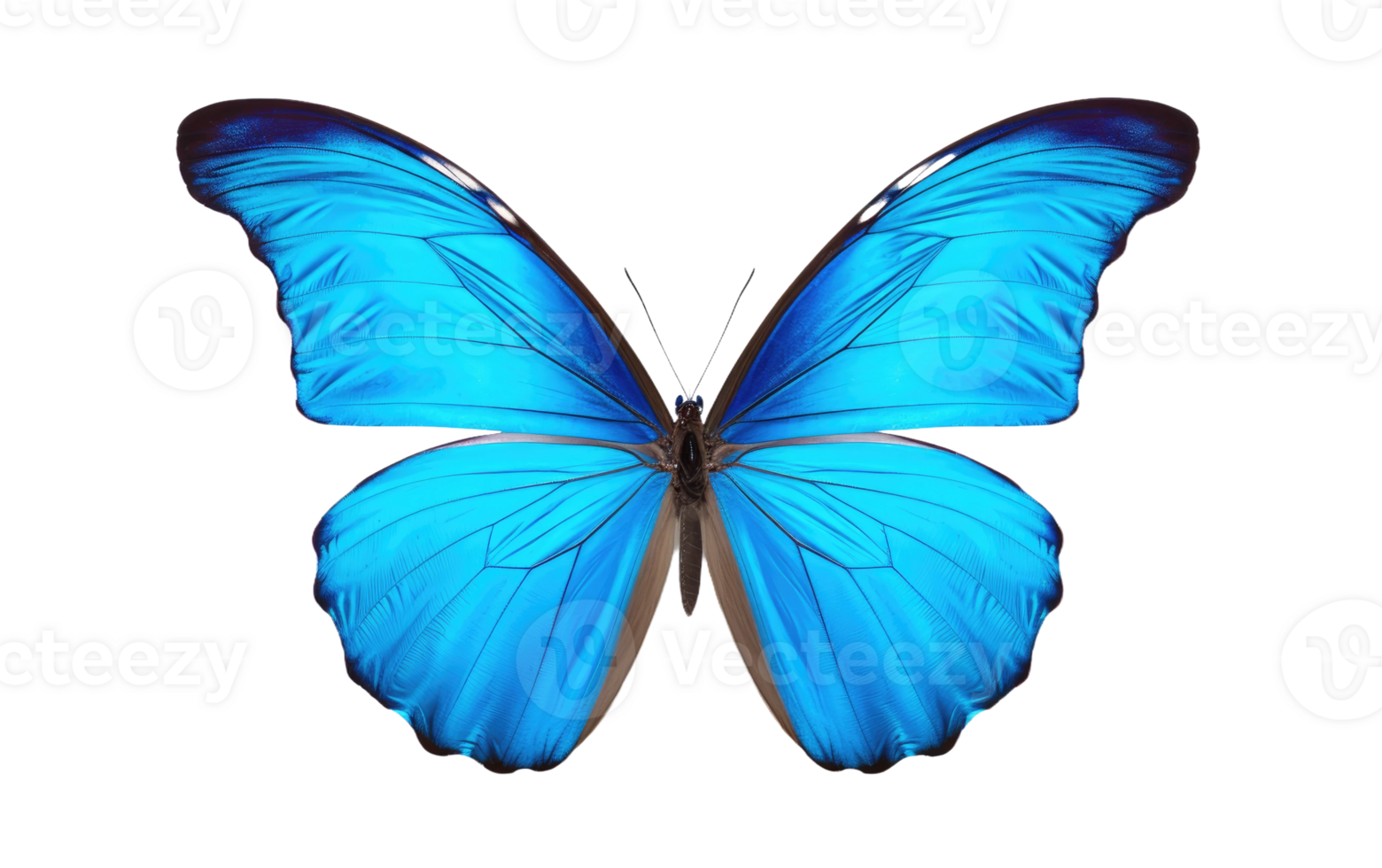 AI generated Blue Butterfly On Transparent Background png