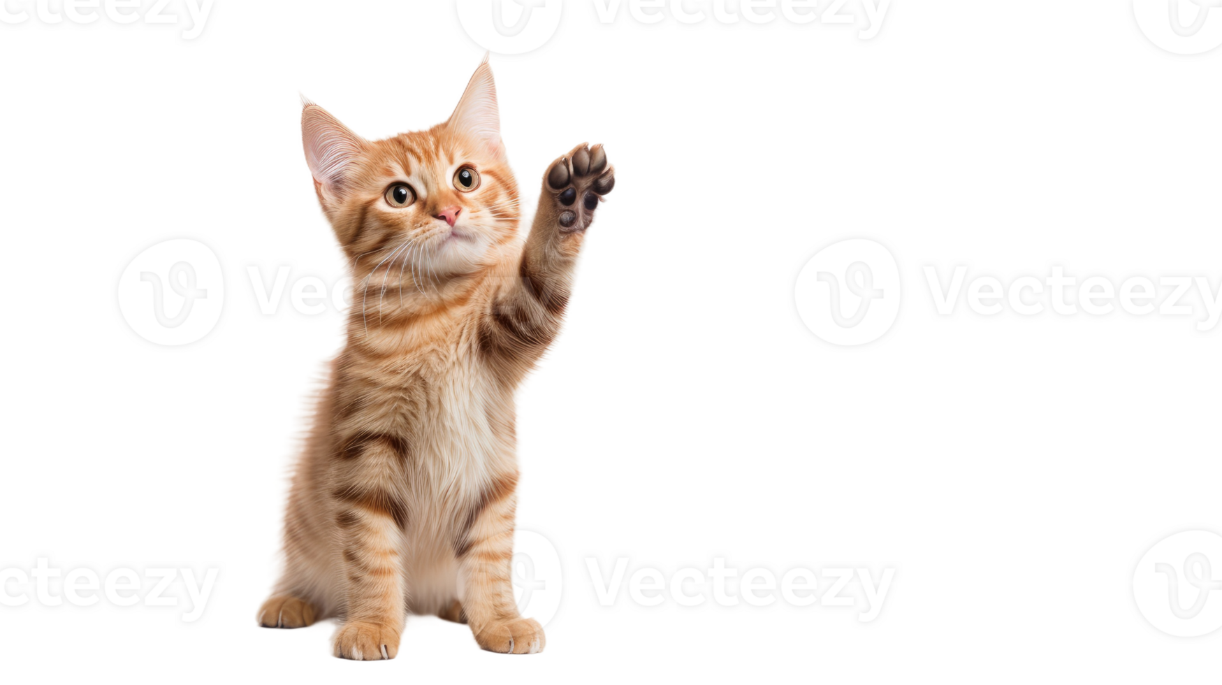 AI generated Cat High Five On Transparent Background png