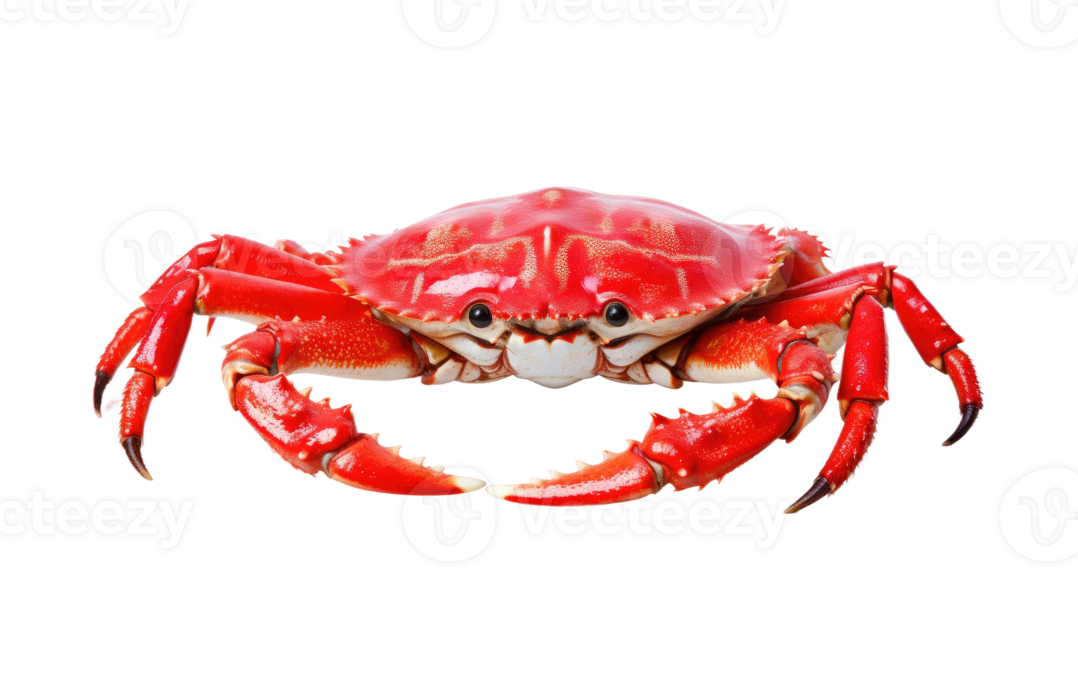 AI generated King Crab On Transparent Background. png