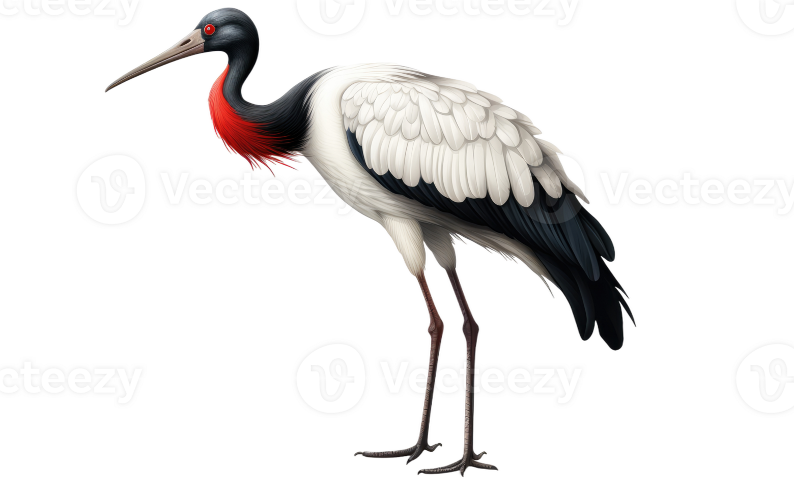 ai genererad jabiru stork skönhet på transparent bakgrund. png