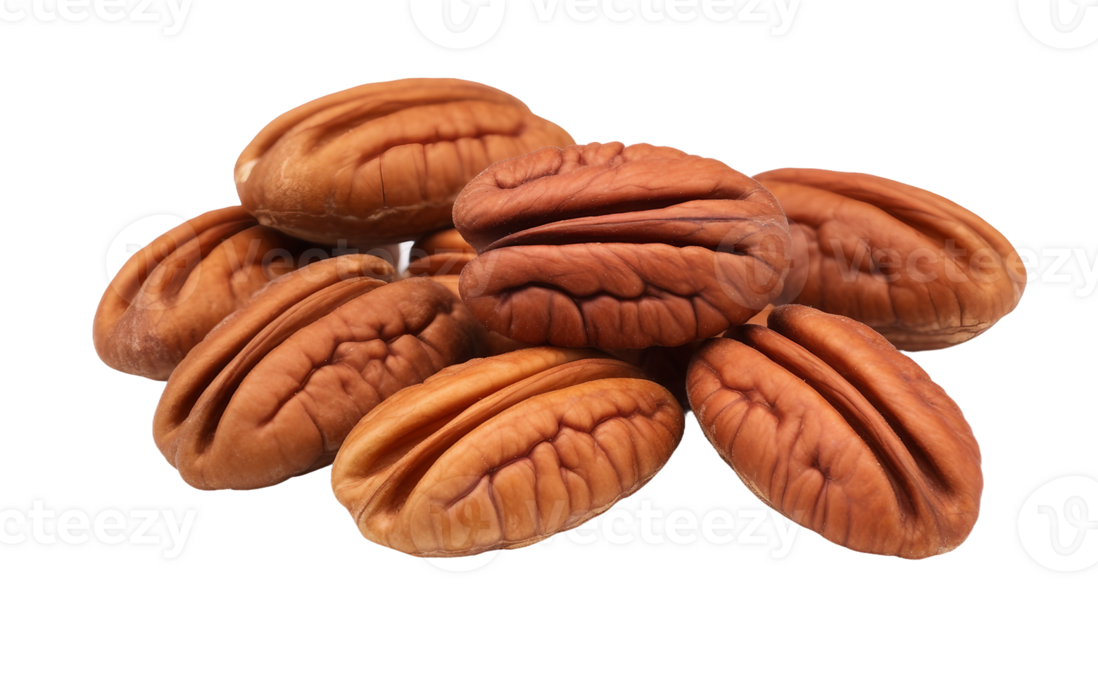 AI generated Pecans Image On Transparent Background png