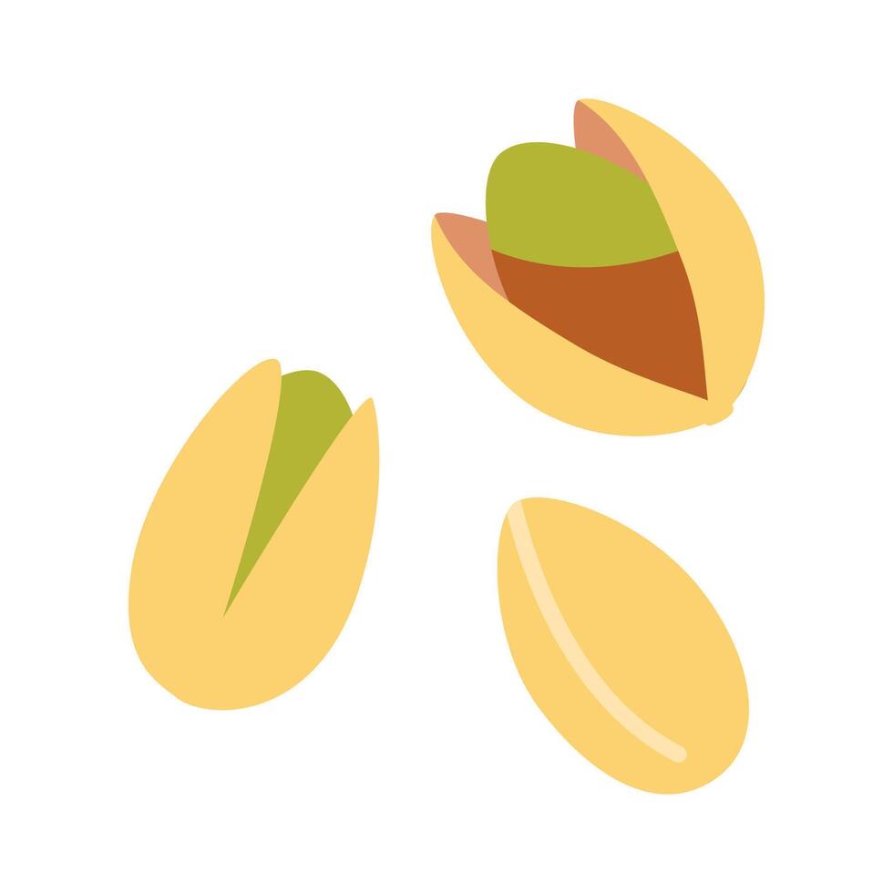 Pistachio nuts, cartoon style. Vector illustration isolated on white background, hand drawn, flat design
