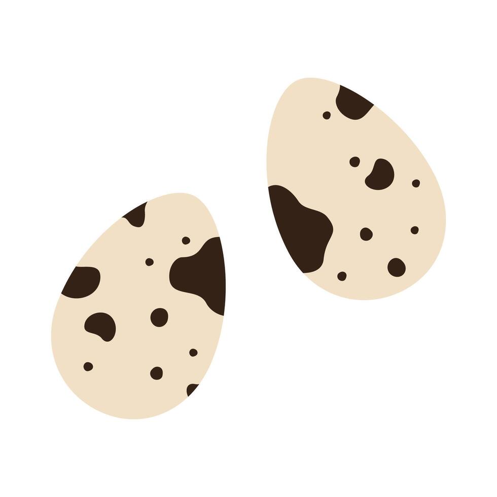 Quail eggs, cartoon style. Vector illustration isolated on white background, hand drawn, flat design