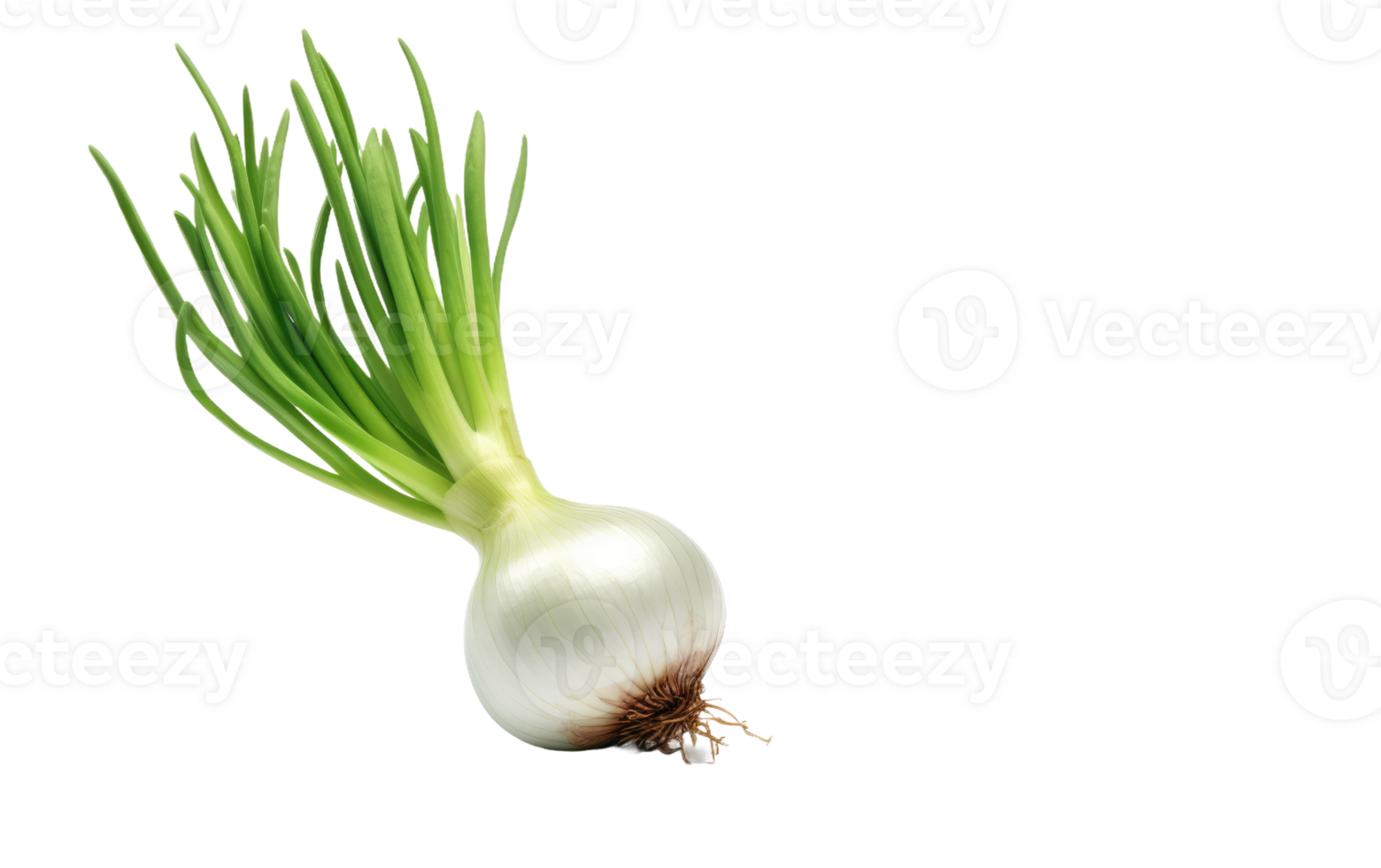 AI generated Onion Plant On Transparent Background. png