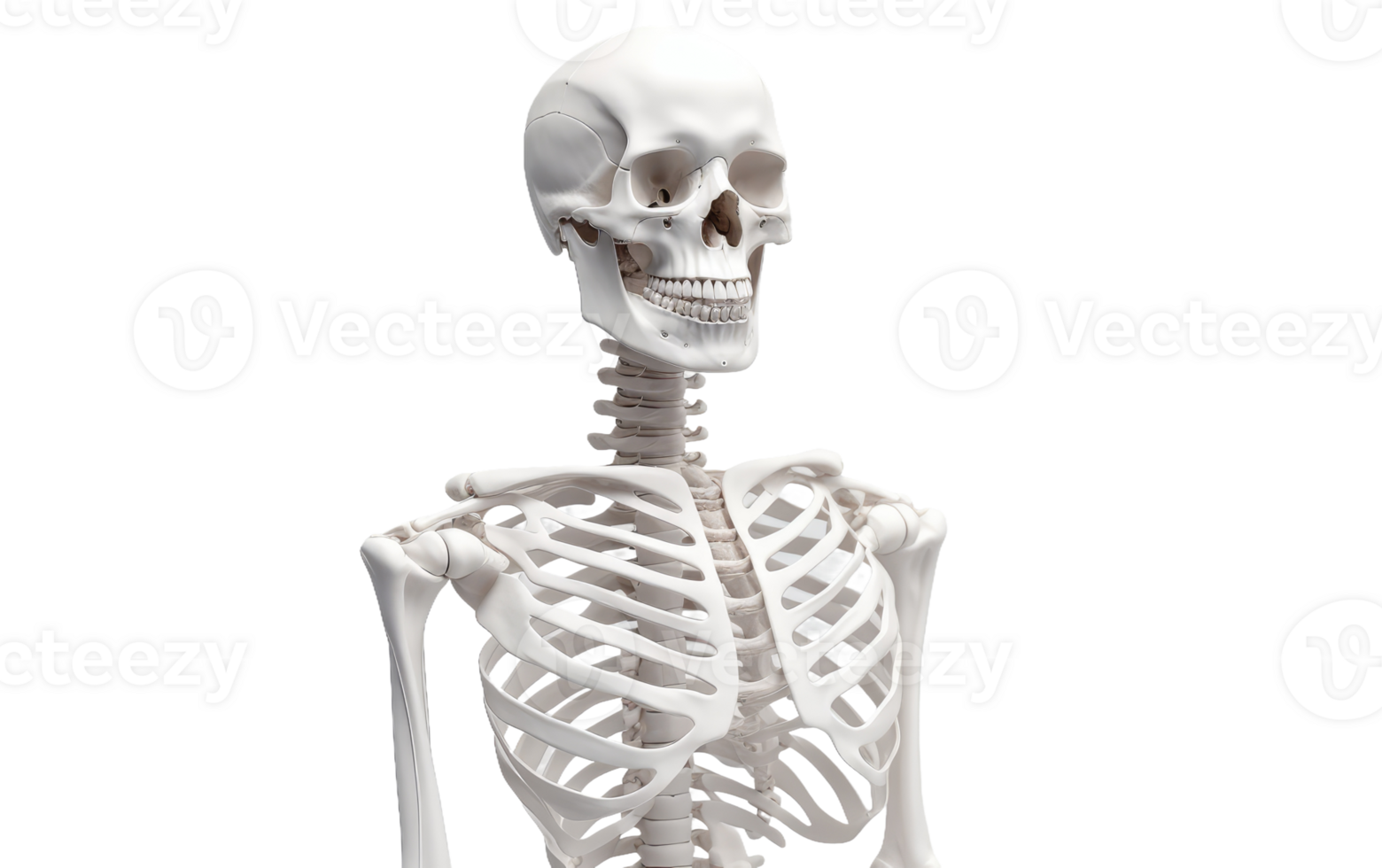 ai gerado esqueleto em transparente fundo png