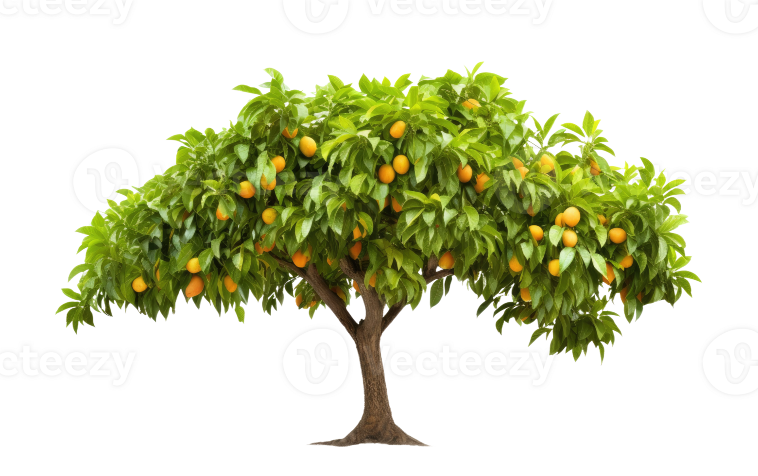 AI generated Mango Tree On Transparent Background. png