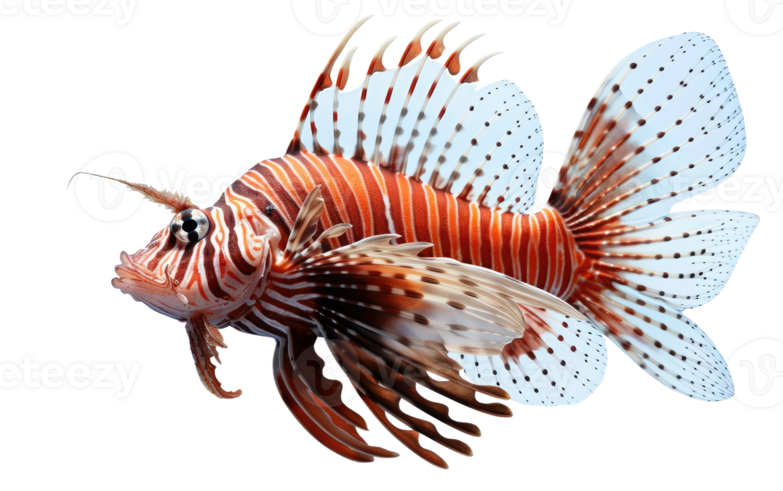AI generated Lionfish image On Transparent Background. png