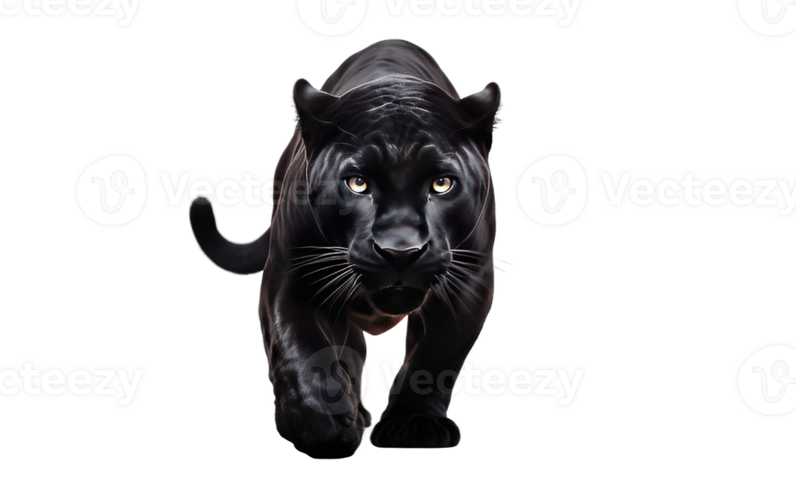 AI generated Panther Portrait On Transparent Background. png