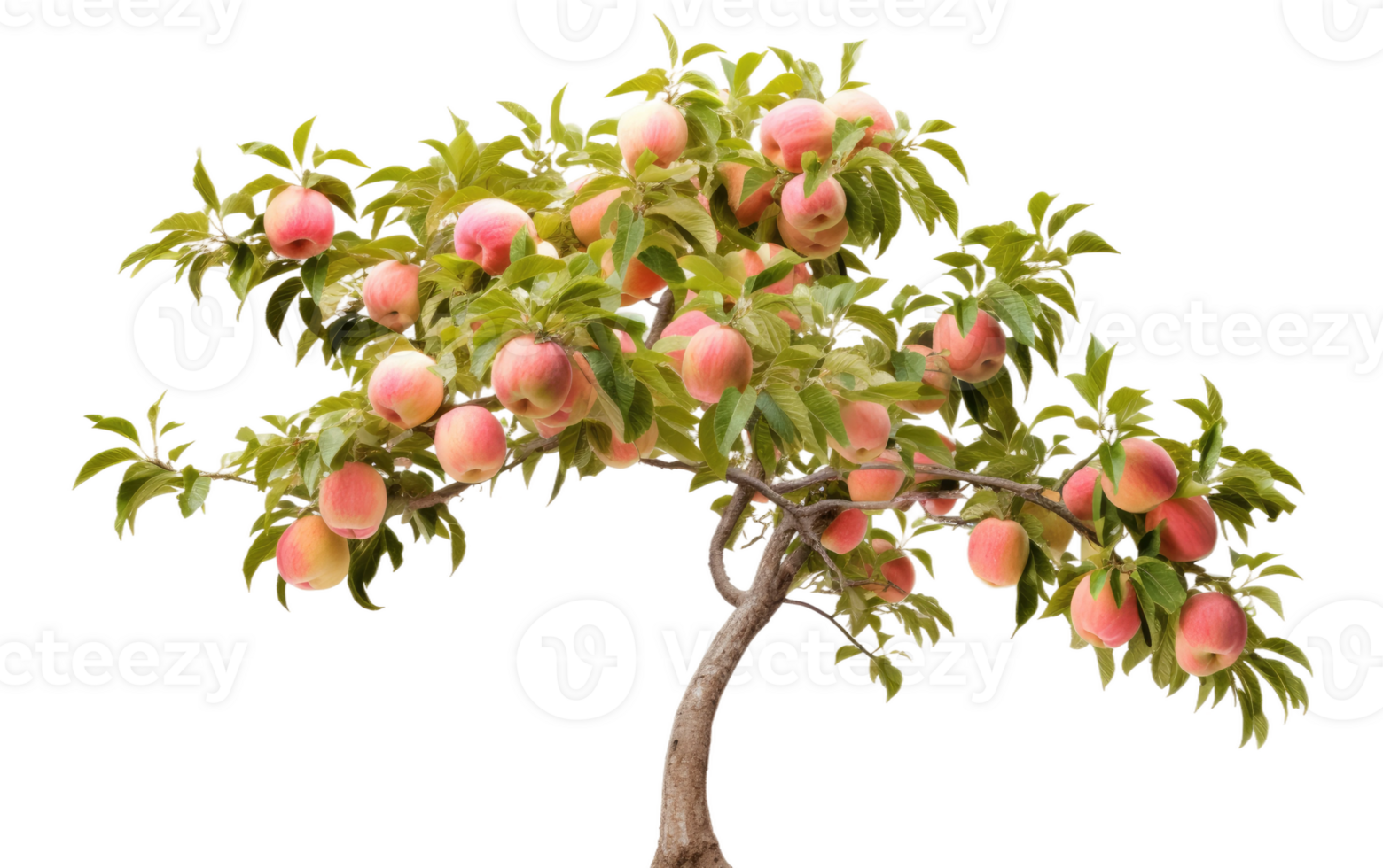 AI generated Fruit Tree Vision On Transparent Background. png