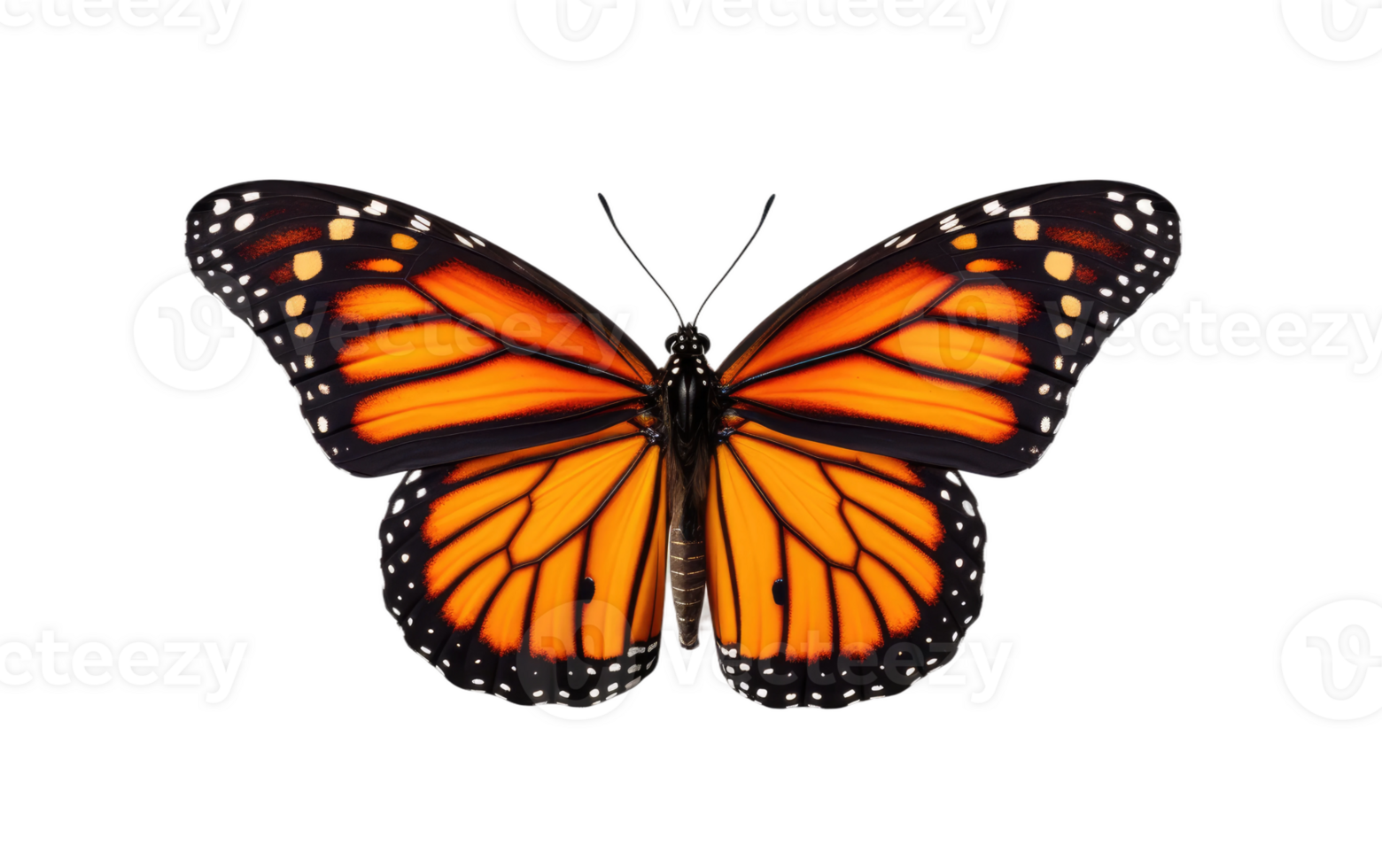 AI generated Monarch Butterfly On Transparent Background. png